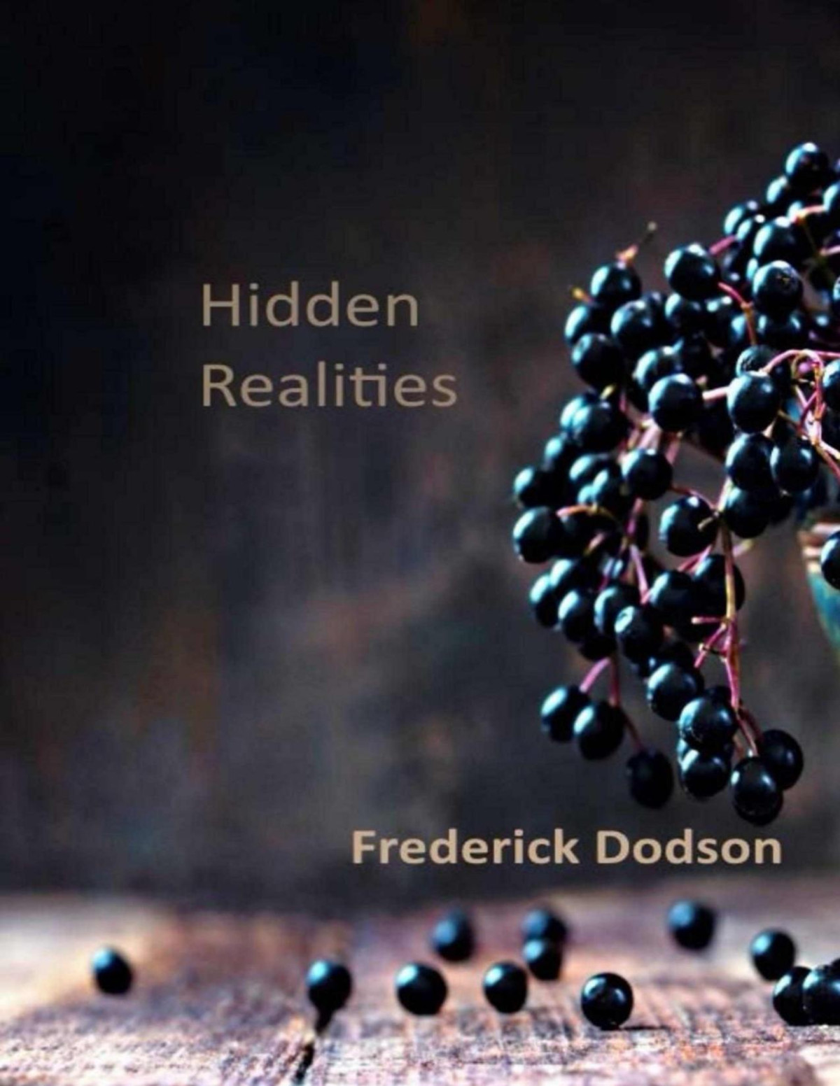 Hidden Realities Frederick Dodson