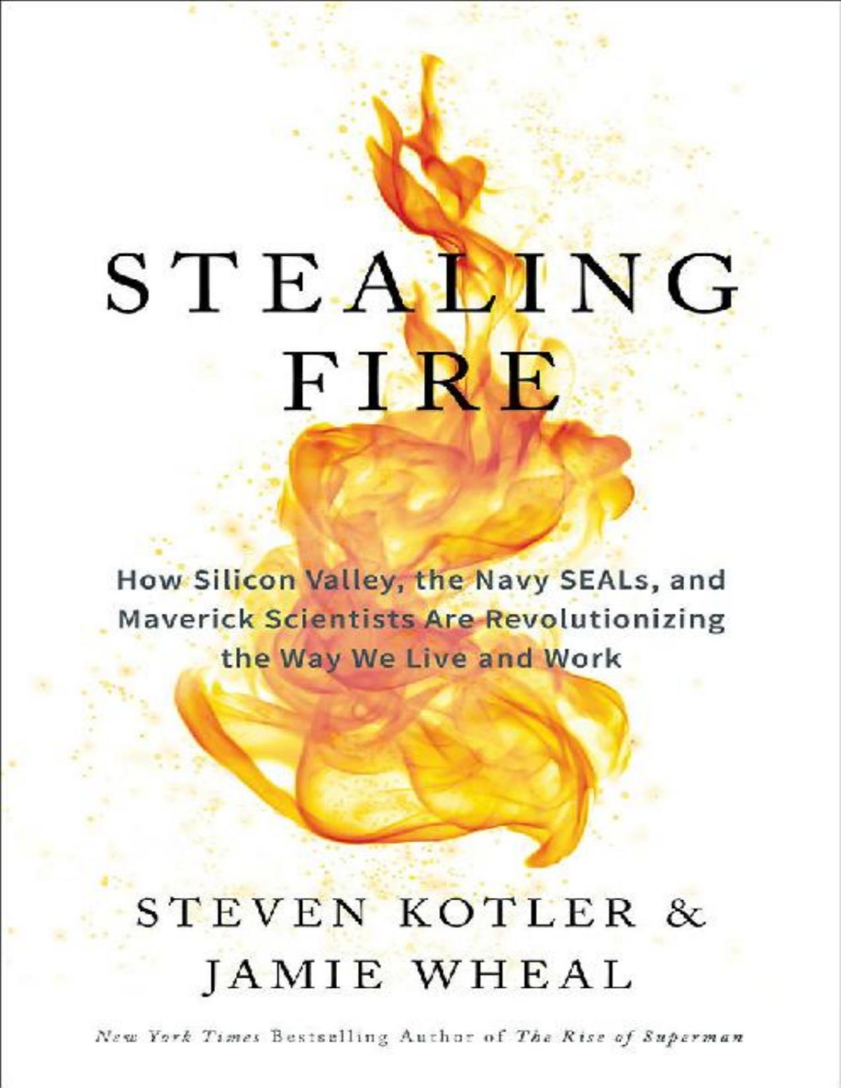 Stealing Fire How Silicon Valley The Navy Seals And Maverick Scientists Are Revolutionizing The Way We Live And Work Steven Kotler Jamie Wheal