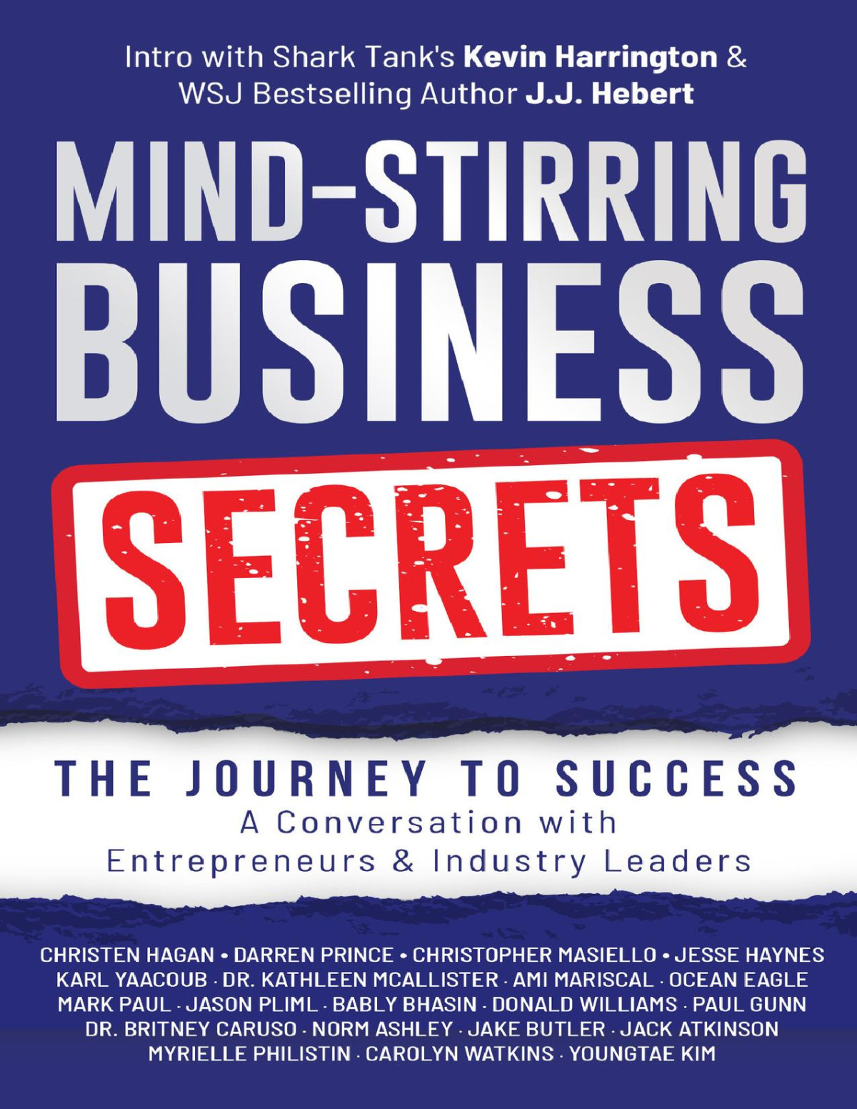 Mindstirring Business Secrets The Journey To Success A Conversation With Entrepreneurs Industry Leaders Hagan