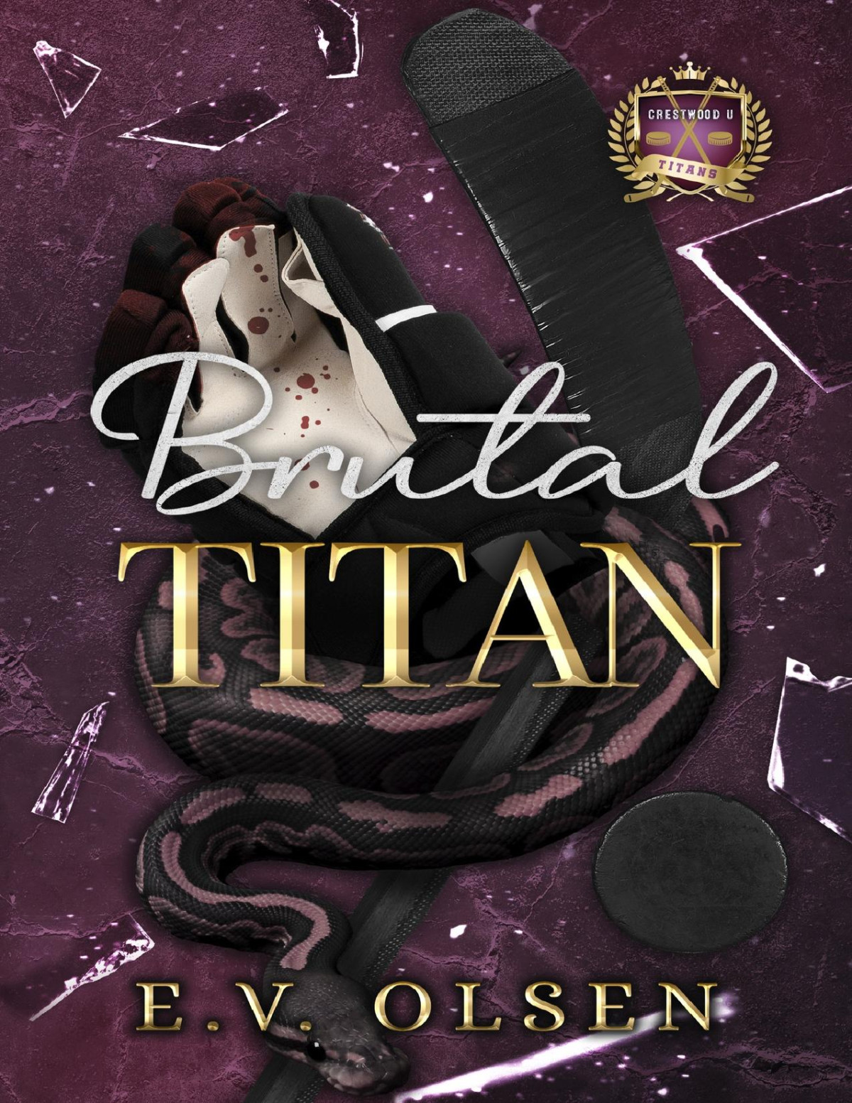 Brutal Titan A Rivals To Lovers Mm College Hockey Romance North Shore Titans Hockey Book 2 Ev Olsen