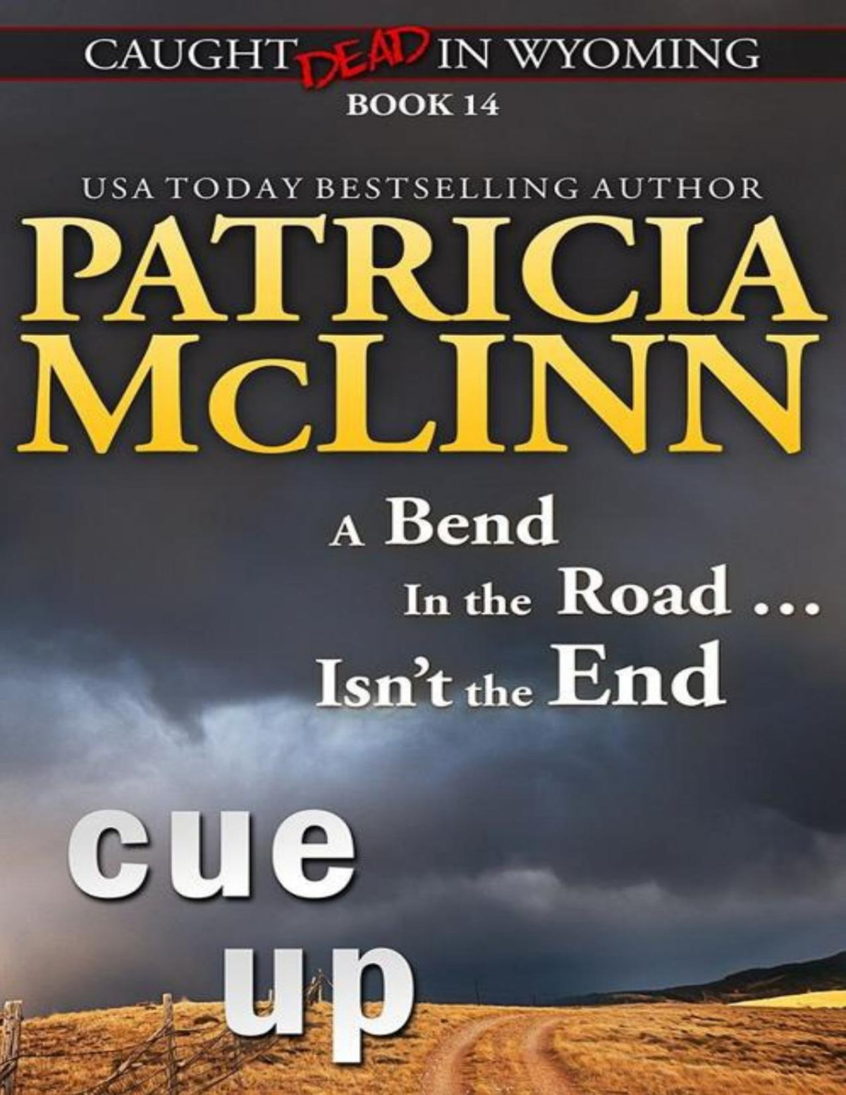 Cue Up Caught Dead In Wyoming Book 14 Patricia Mclinn