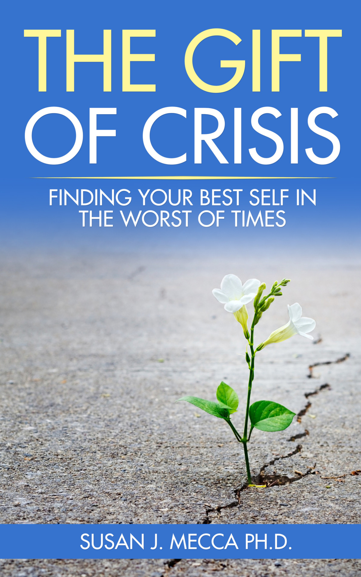 The Gift Of Crisis Finding Your Best Self In The Worst Of Times Mecca