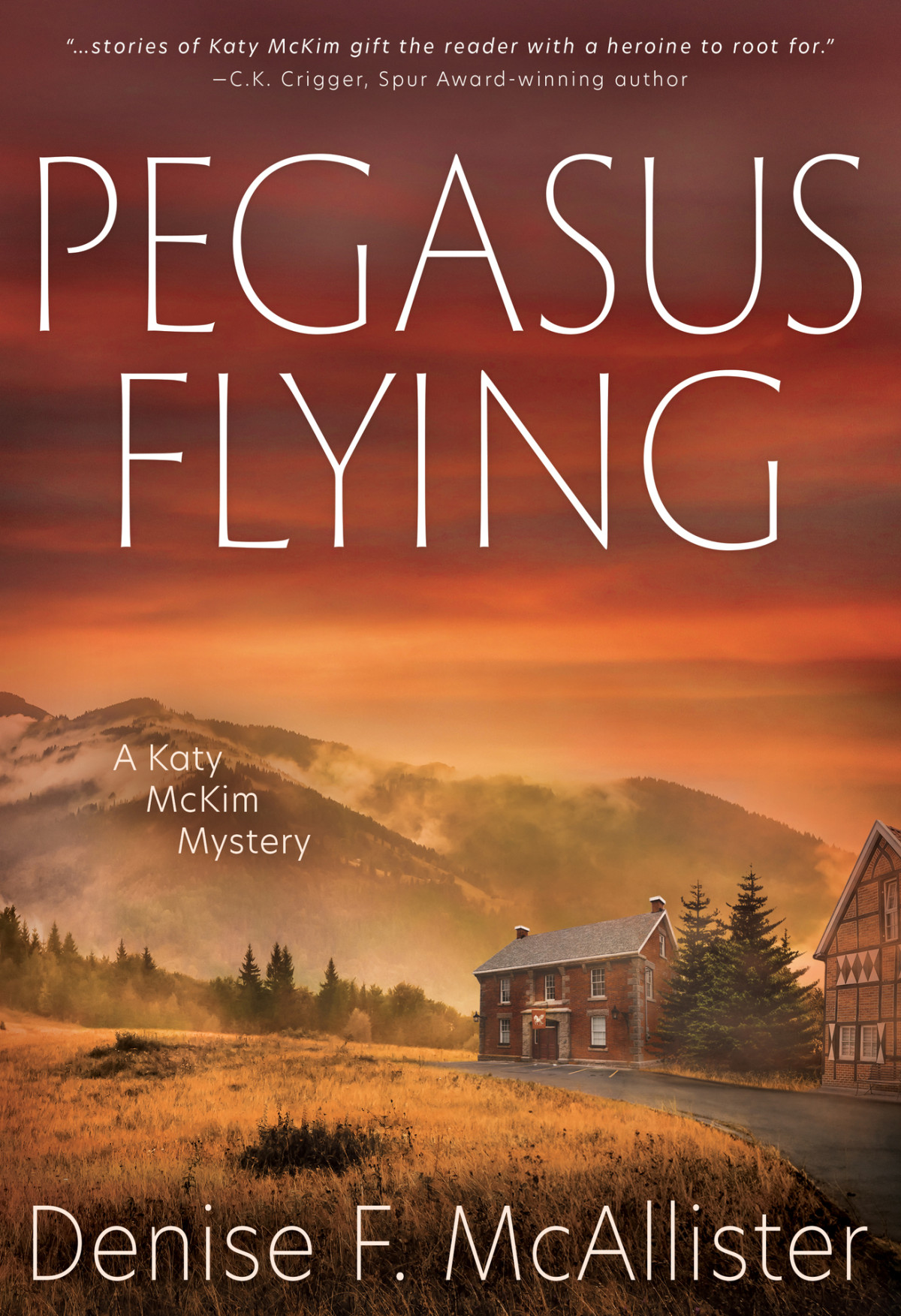 Pegasus Flying A Katy Mckim Mystery Book 2 Denise F Mcallister