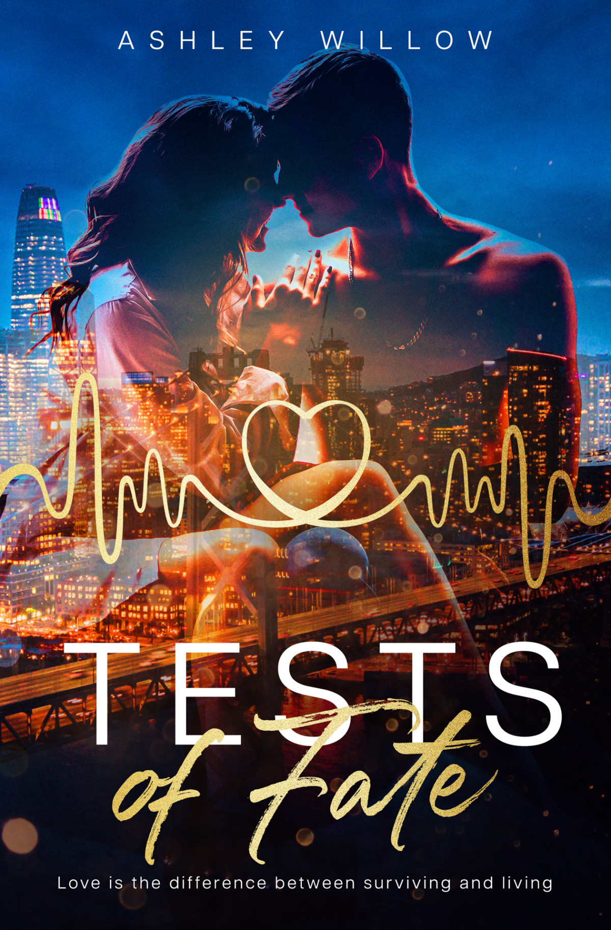 Tests Of Fate Ashley Willow