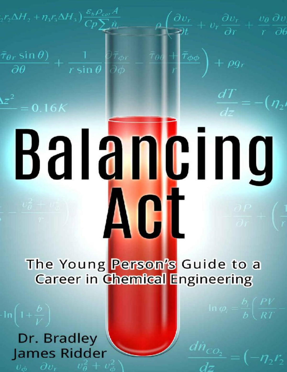 Balancing Act The Young Persons Guide To A Career In Chemical Engineering Bradley Ridder