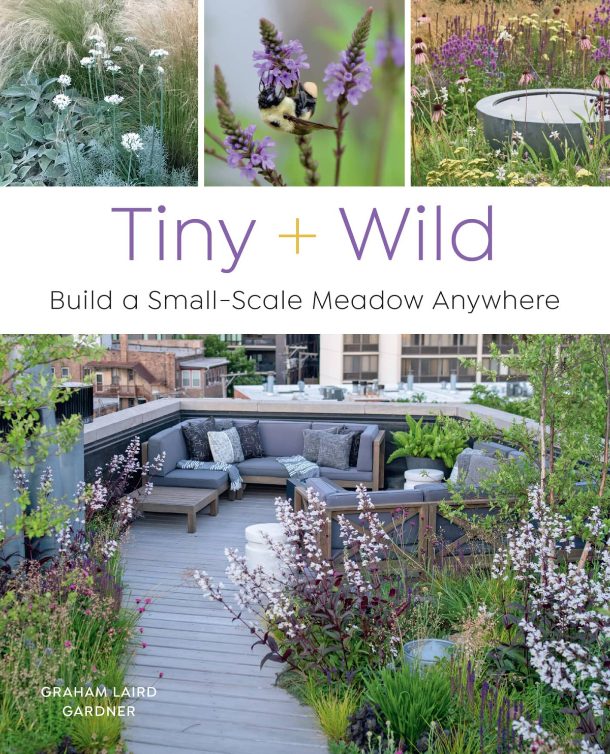 Tiny And Wild Build A Smallscale Meadow Anywhere Graham Laird Gardner