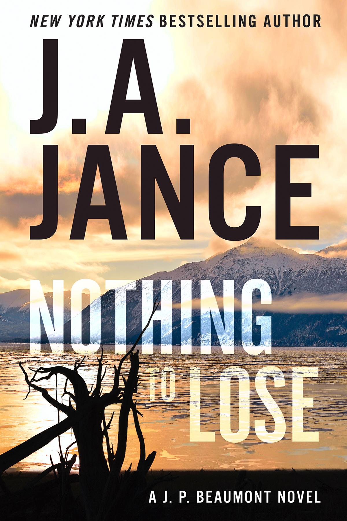 Nothing To Lose J A Jance