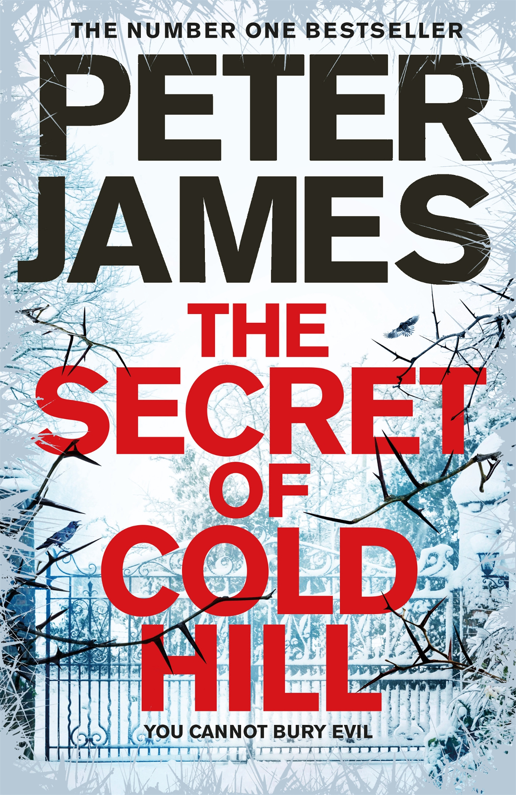 The Secret Of Cold Hill Peter James