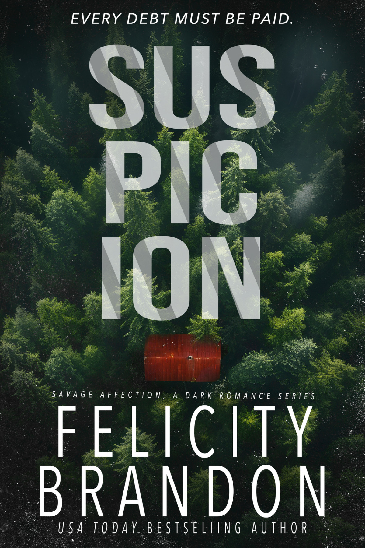 Suspicion A Dark Romance Kidnap Thriller Felicity Brandon