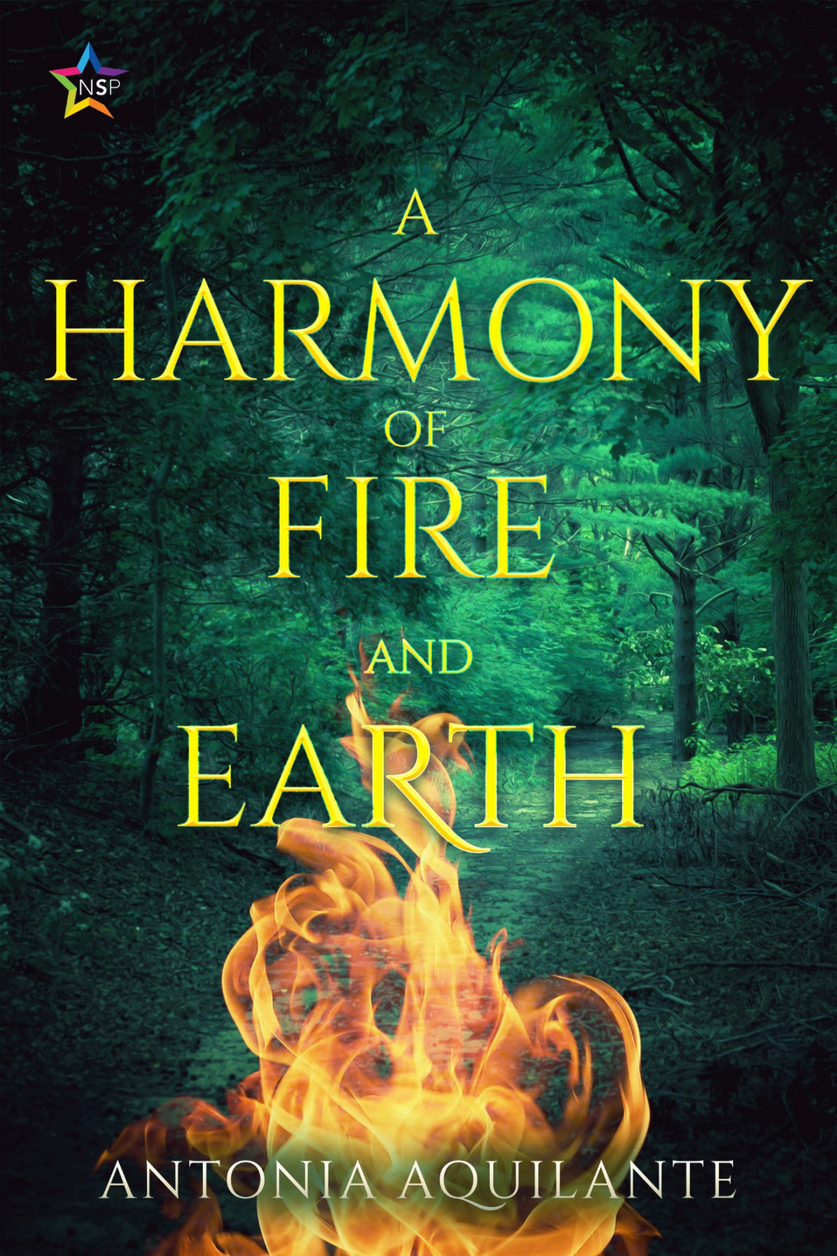 A Harmony Of Fire And Earth Antonia Aquilante