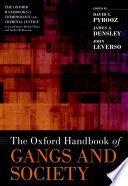 The Oxford Handbook Of Gangs And Society David C Pyro Oz James A Densley