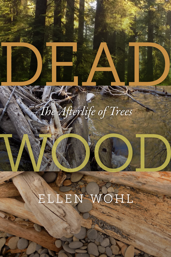Dead Wood The Afterlife Of Trees Ellen Wohl