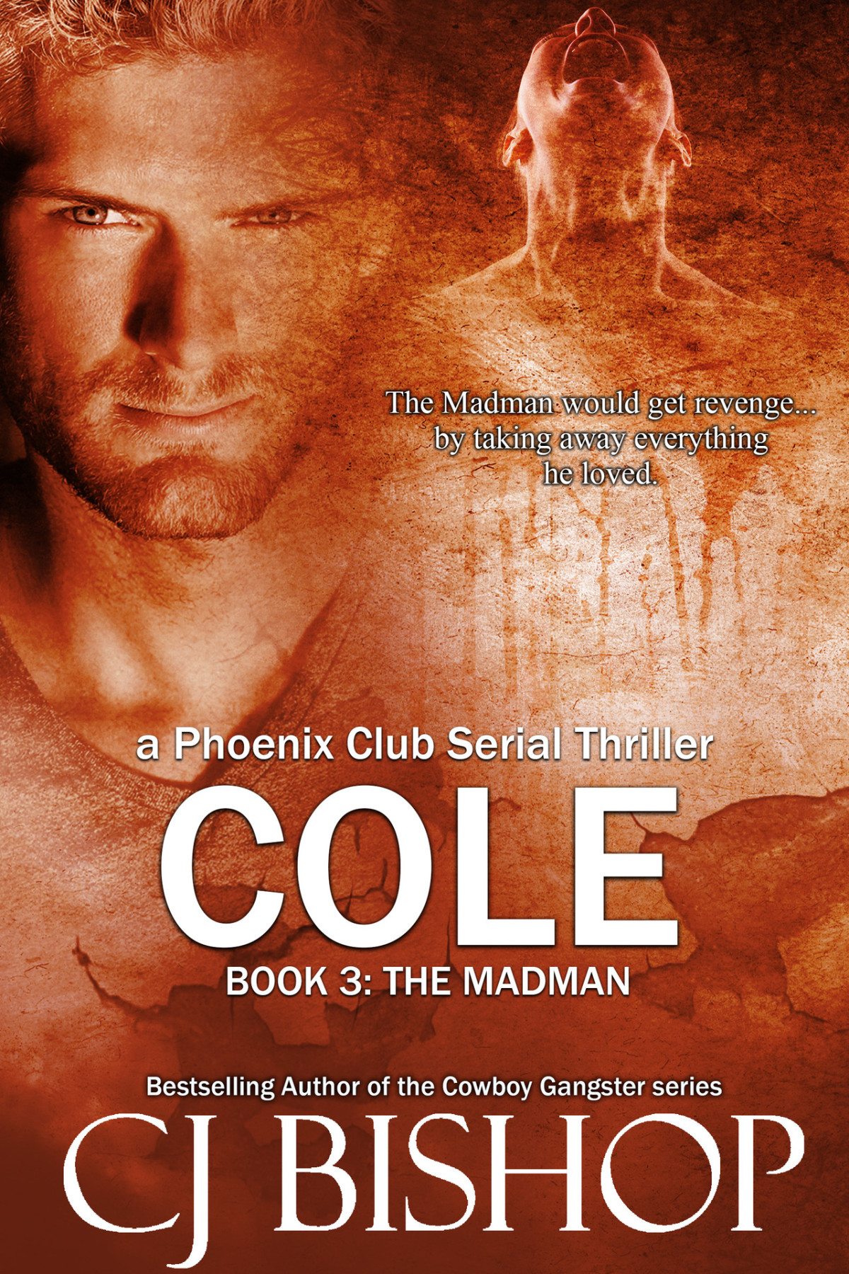 Cole The Madman Cole A Phoenix Club Serial Thriller 3 Mm Cj Bishop