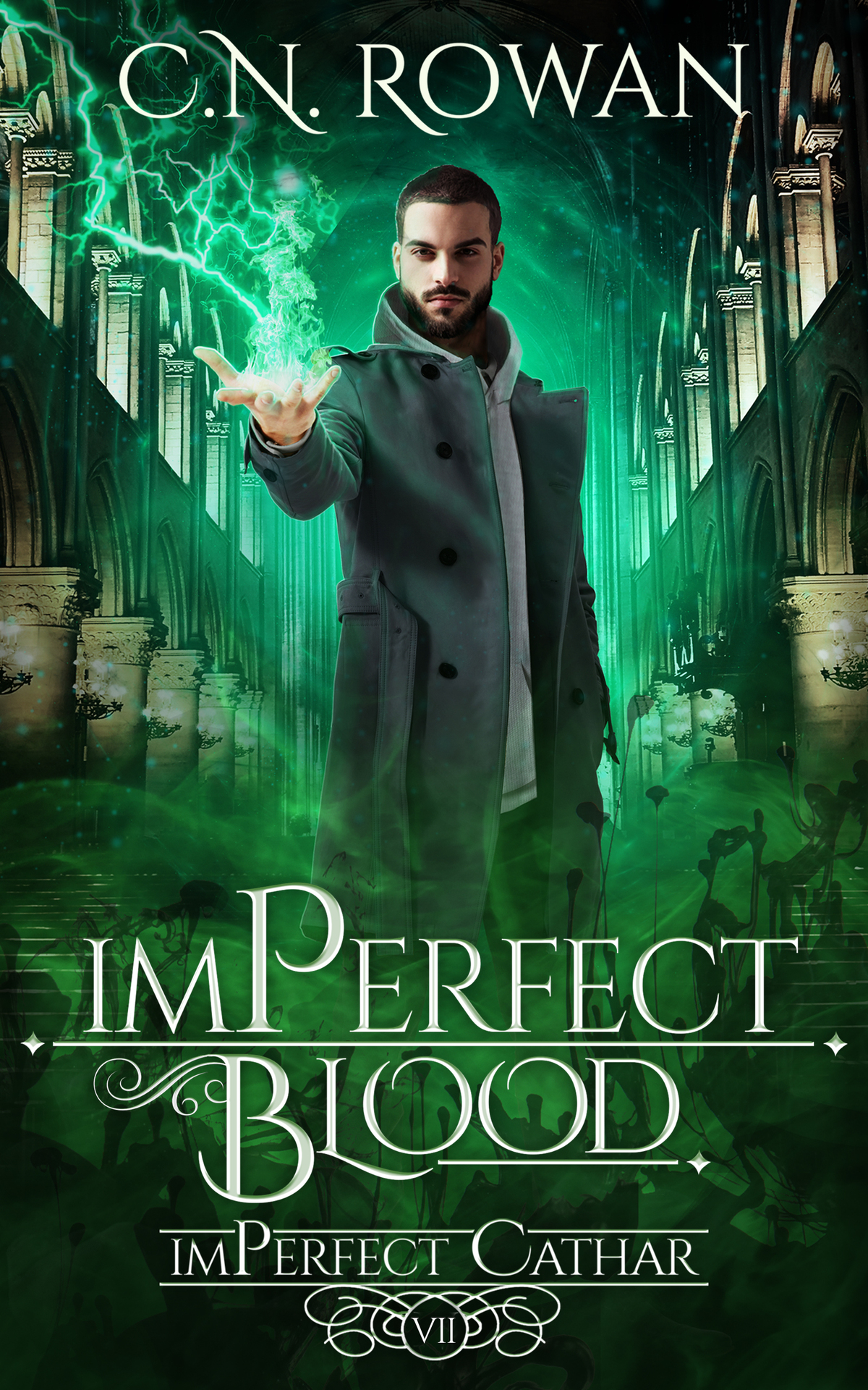 Imperfect Blood A Gritty Urban Fantasy Series The Imperfect Cathar Book 7 Cn Rowan