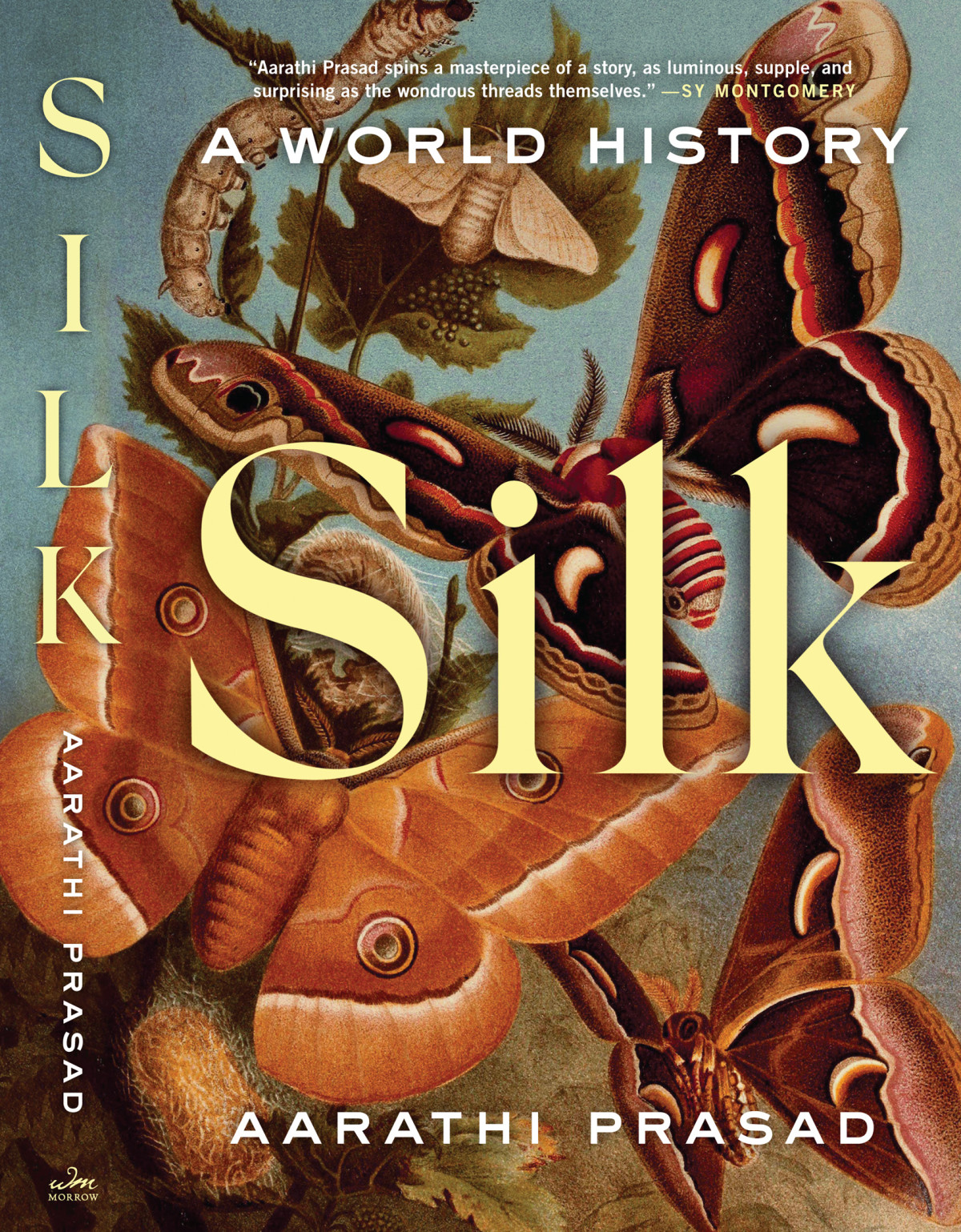Silk A World History Aarathi Prasad