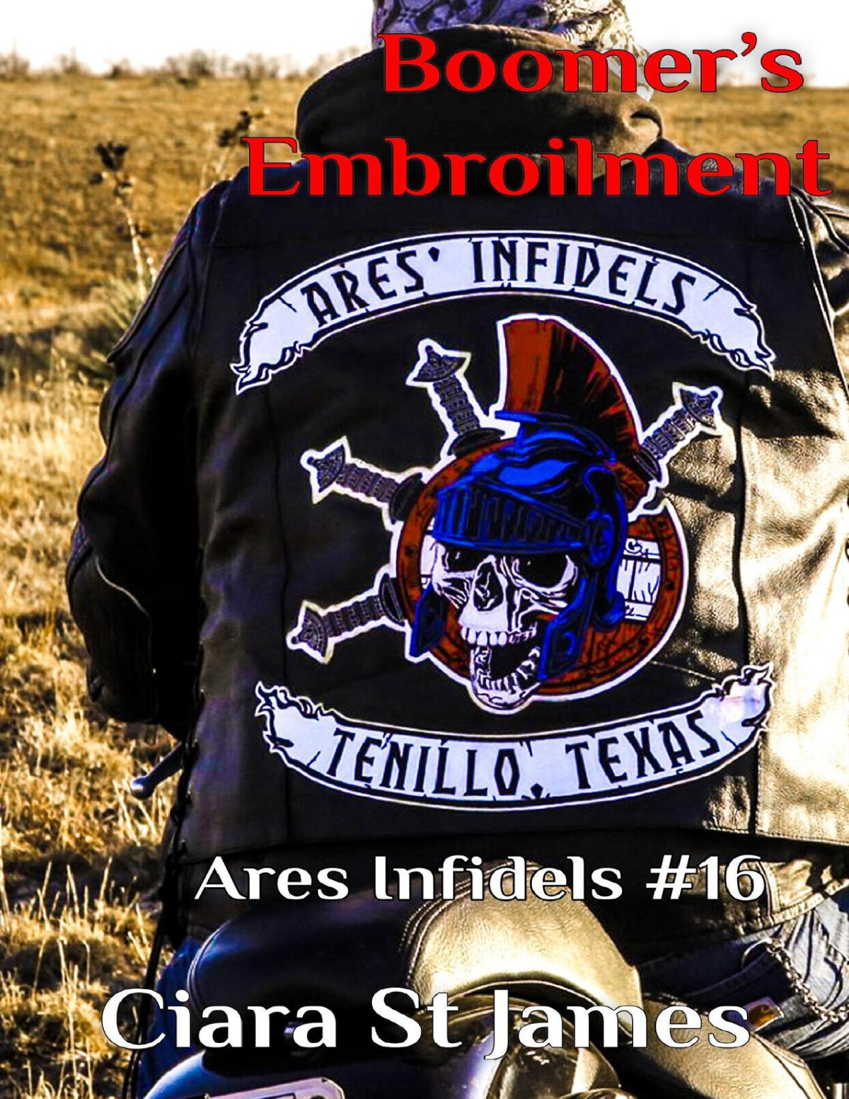 Boomers Embroilment Tenillo Guardians Aimc Book 16 Ciara St James