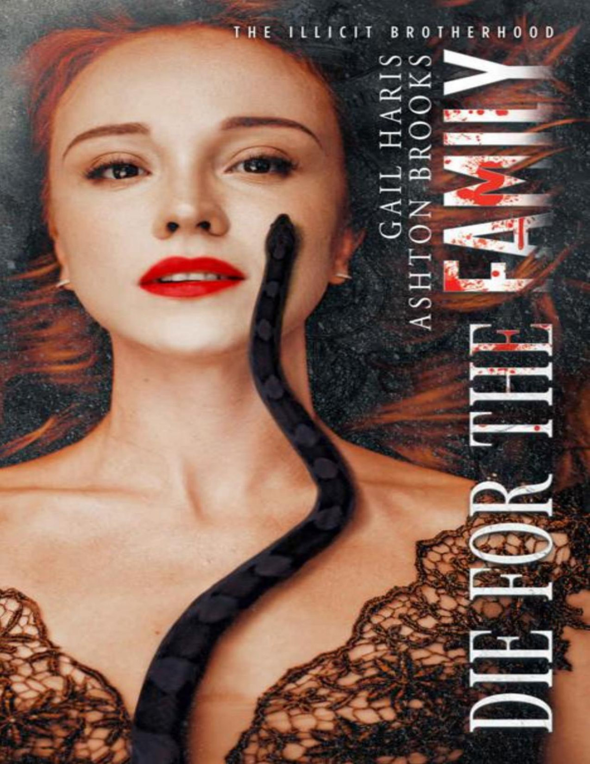 Die For The Family The Illicit Brotherhood Book 5 Ashton Brooks Gail Haris