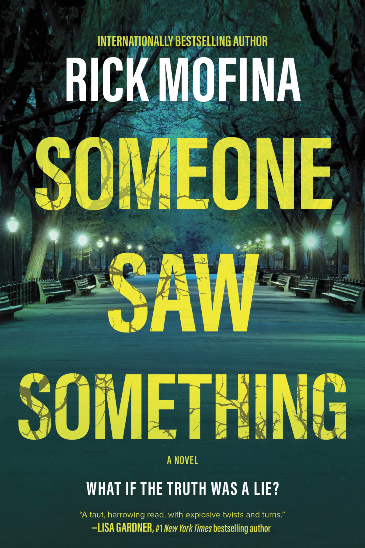 Someone Saw Something Rick Mofina