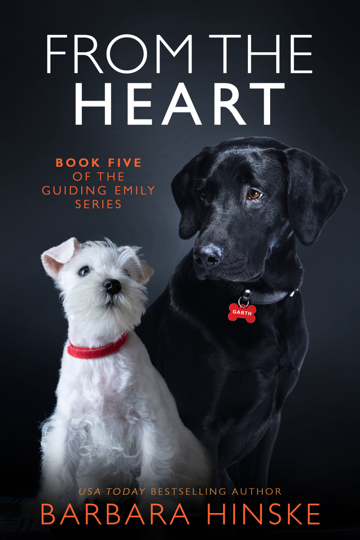 From The Heart Book Five Of The Guiding Emily Series Barbara Hinske