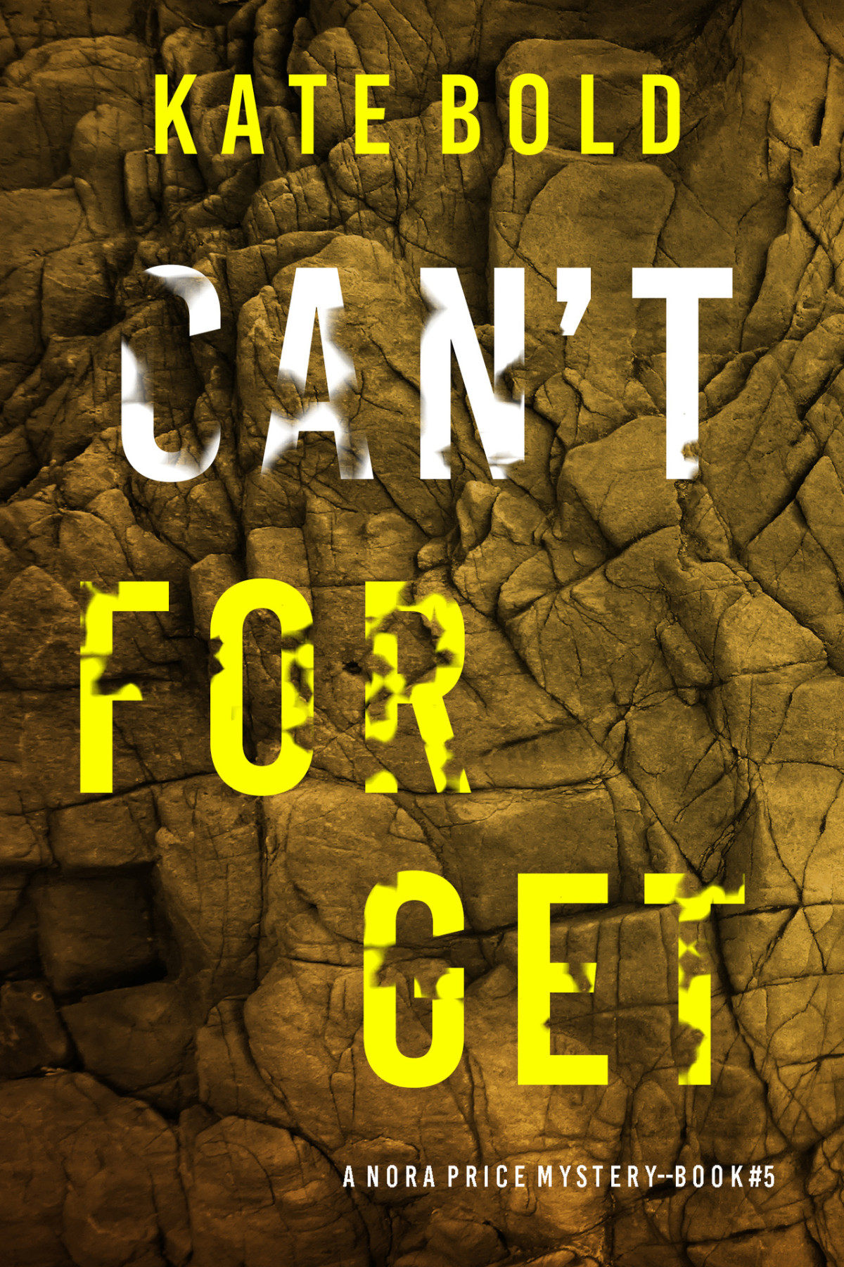 Cant Forget A Nora Price Fbi Suspense Thrillerbook Five Kate Bold