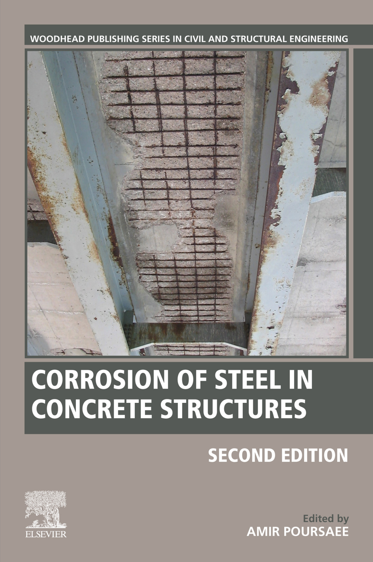 Corrosion Of Steel In Concrete Structures Amir Poursaee