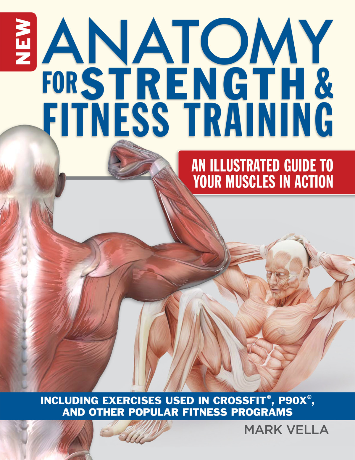 New Anatomy For Strength Fitness Training Vella Mark