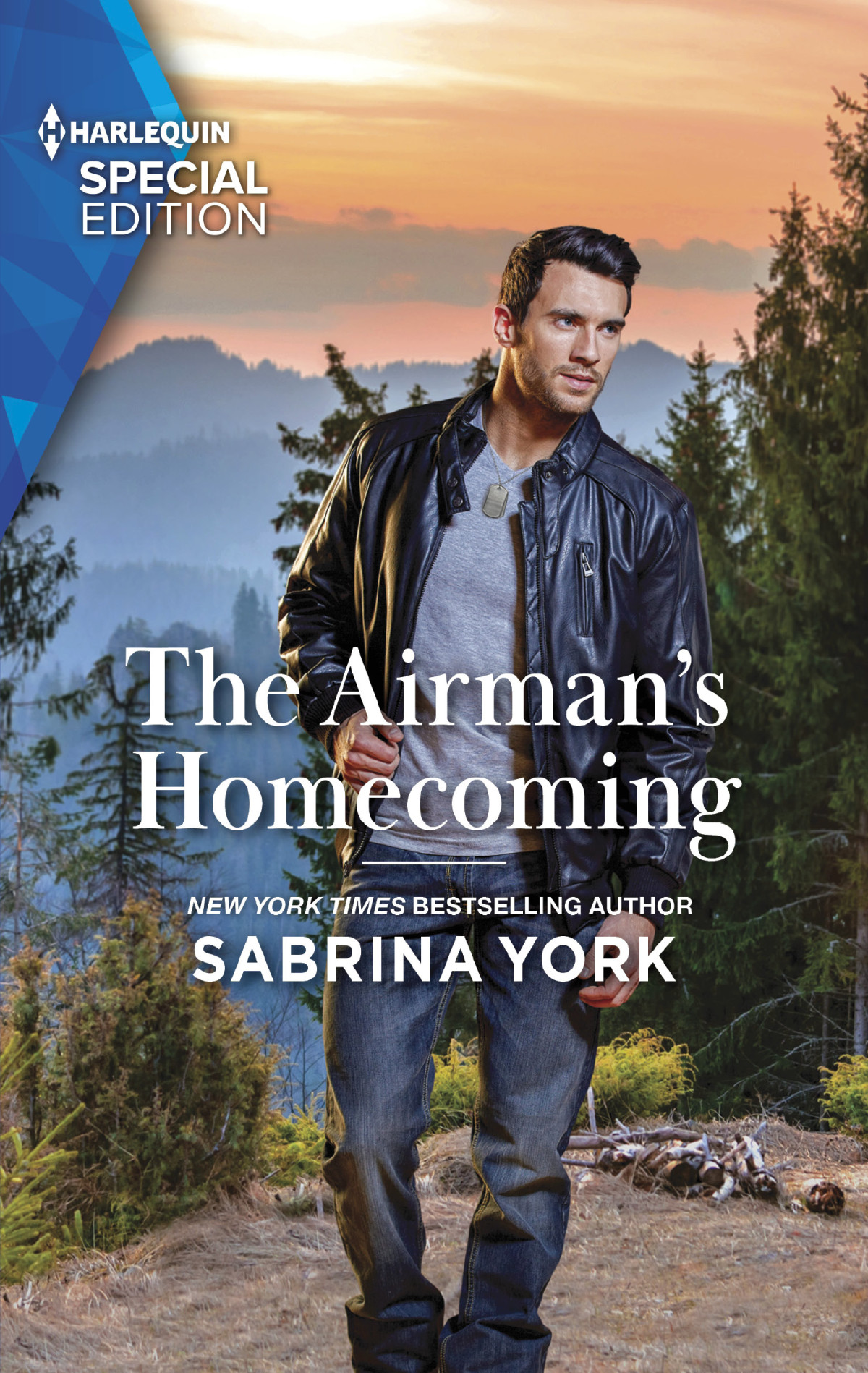 The Airmans Homecoming Sabrina York