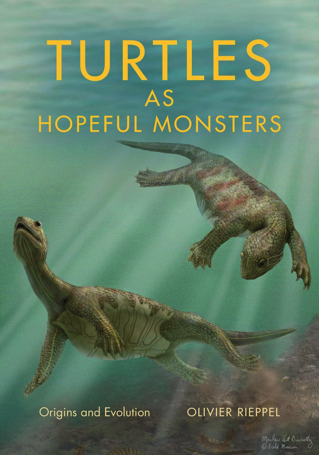 Turtles As Hopeful Monsters Origins And Evolution Olivier Rieppel