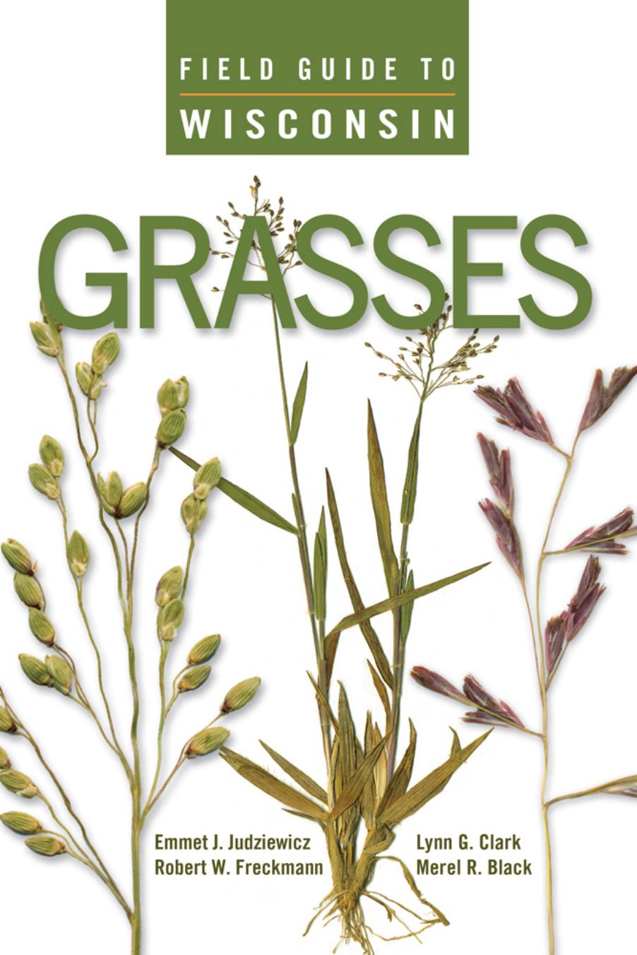 Field Guide To Wisconsin Grasses Emmet J Judziewicz Robert W Freckmann Lynn G Clark Merel R Black