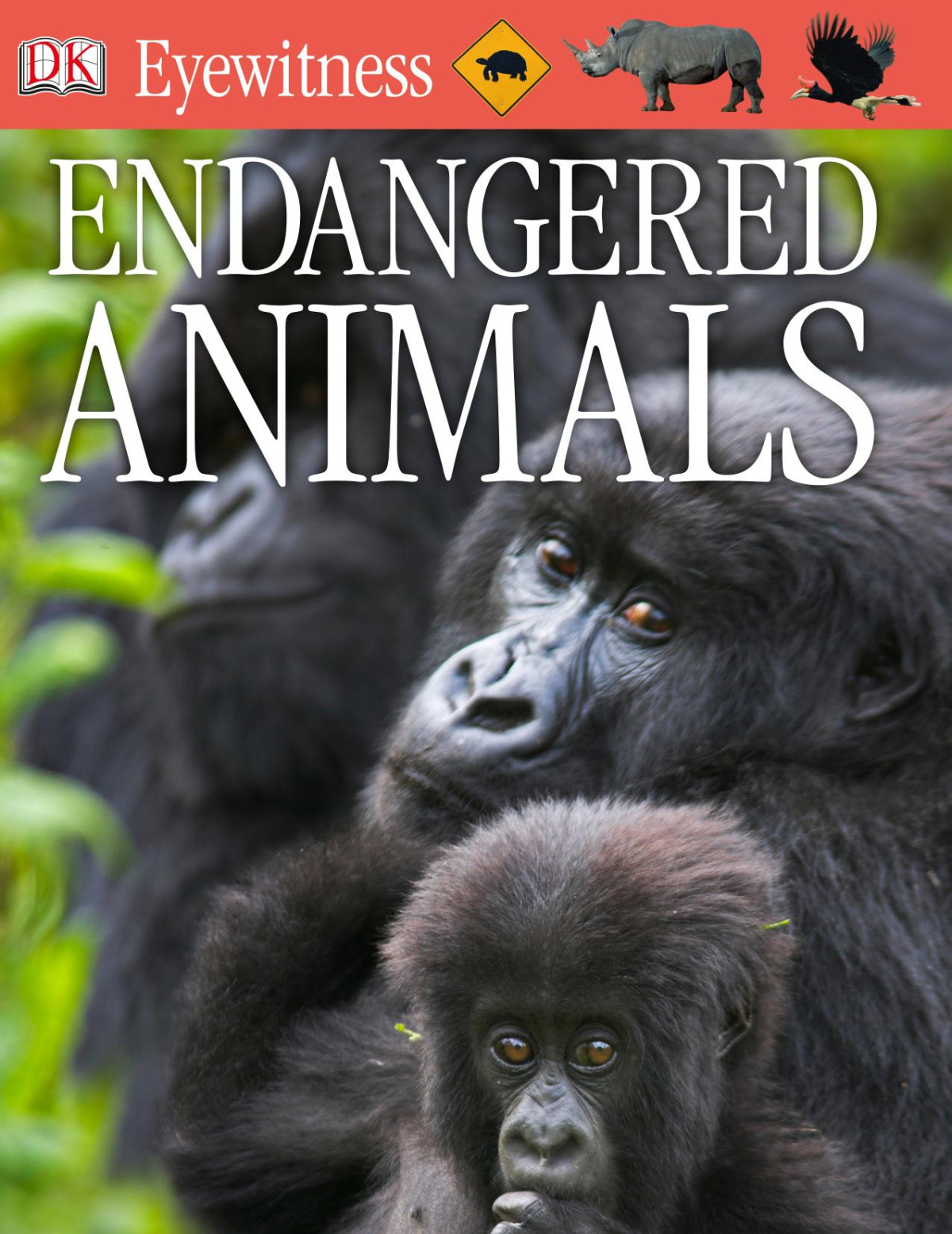 Endangered Animals Ben Hoare Tom Jackson