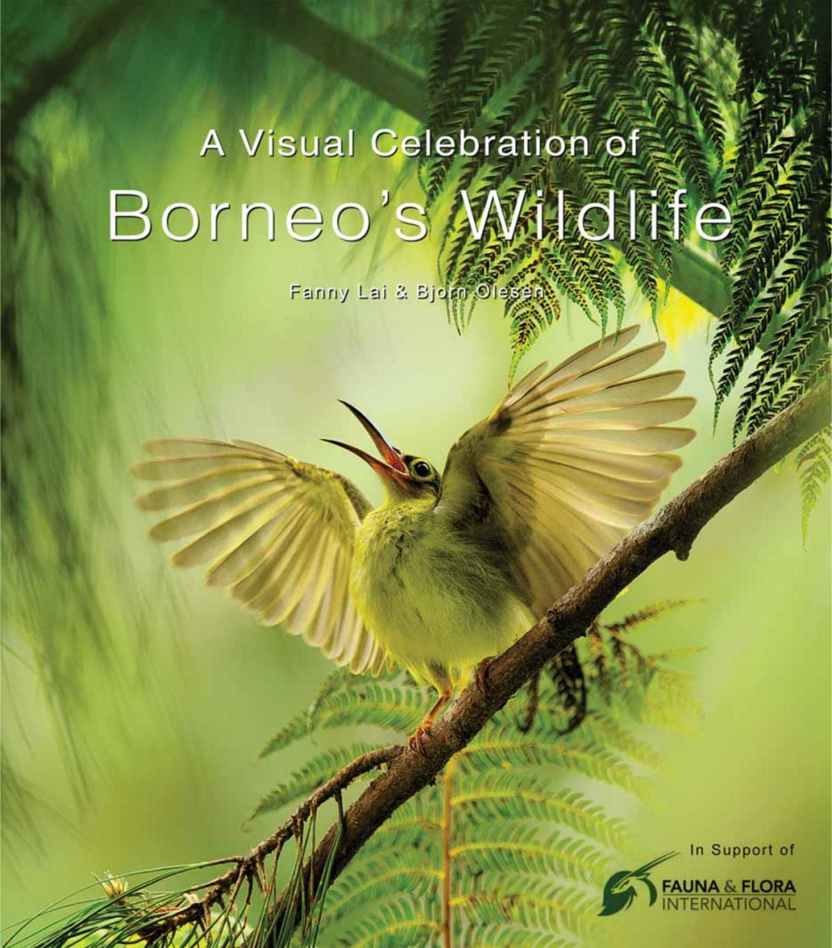 A Visual Celebration Of Borneos Wildlife All Royalties Donated To Fauna Flora International Fanny Lai Bjorn Olesen