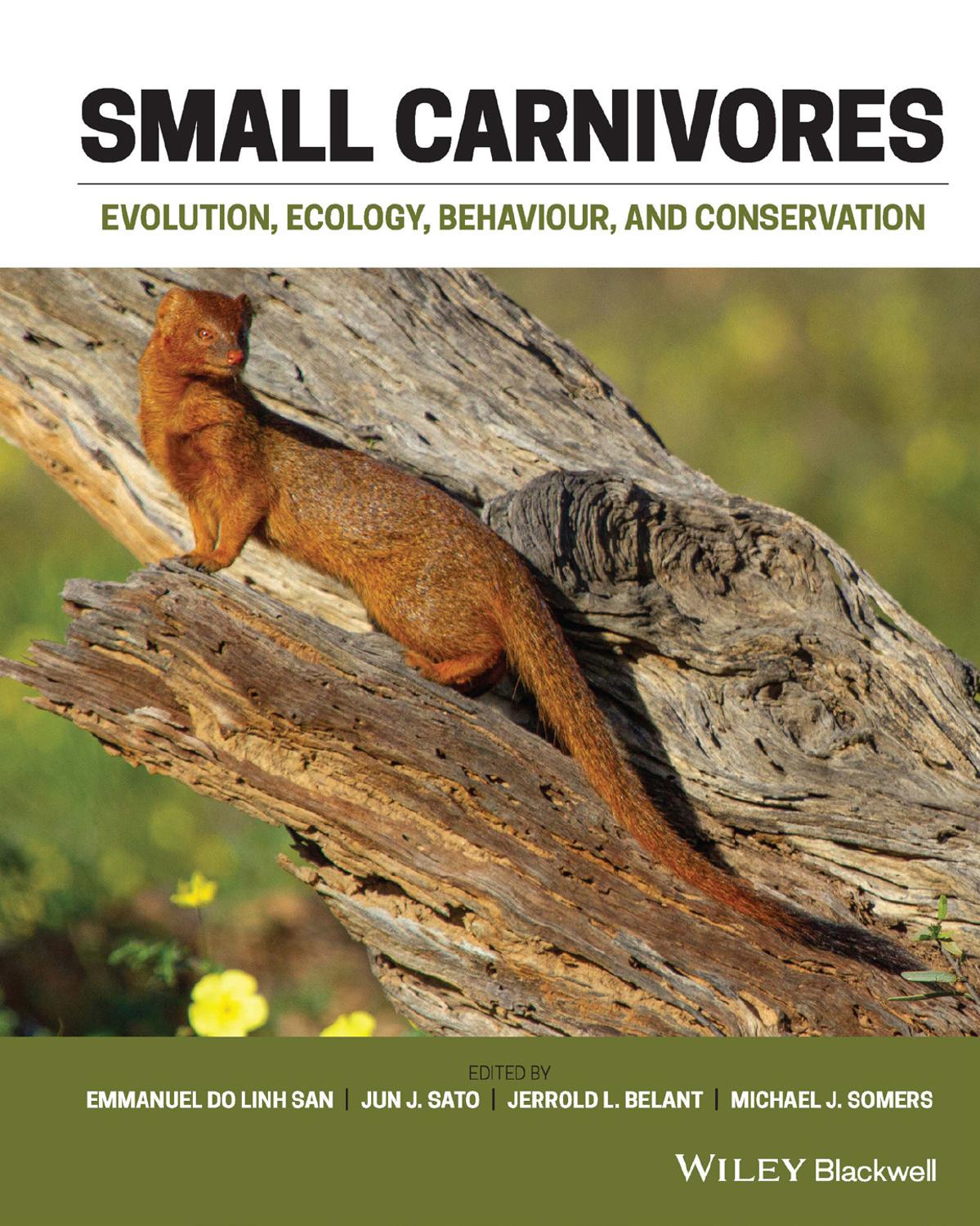 Small Carnivores Evolution Ecology Behaviour And Conservation Emmanuel Do Linh San Jun J Sato Jerrold L Belant Michael J Somers
