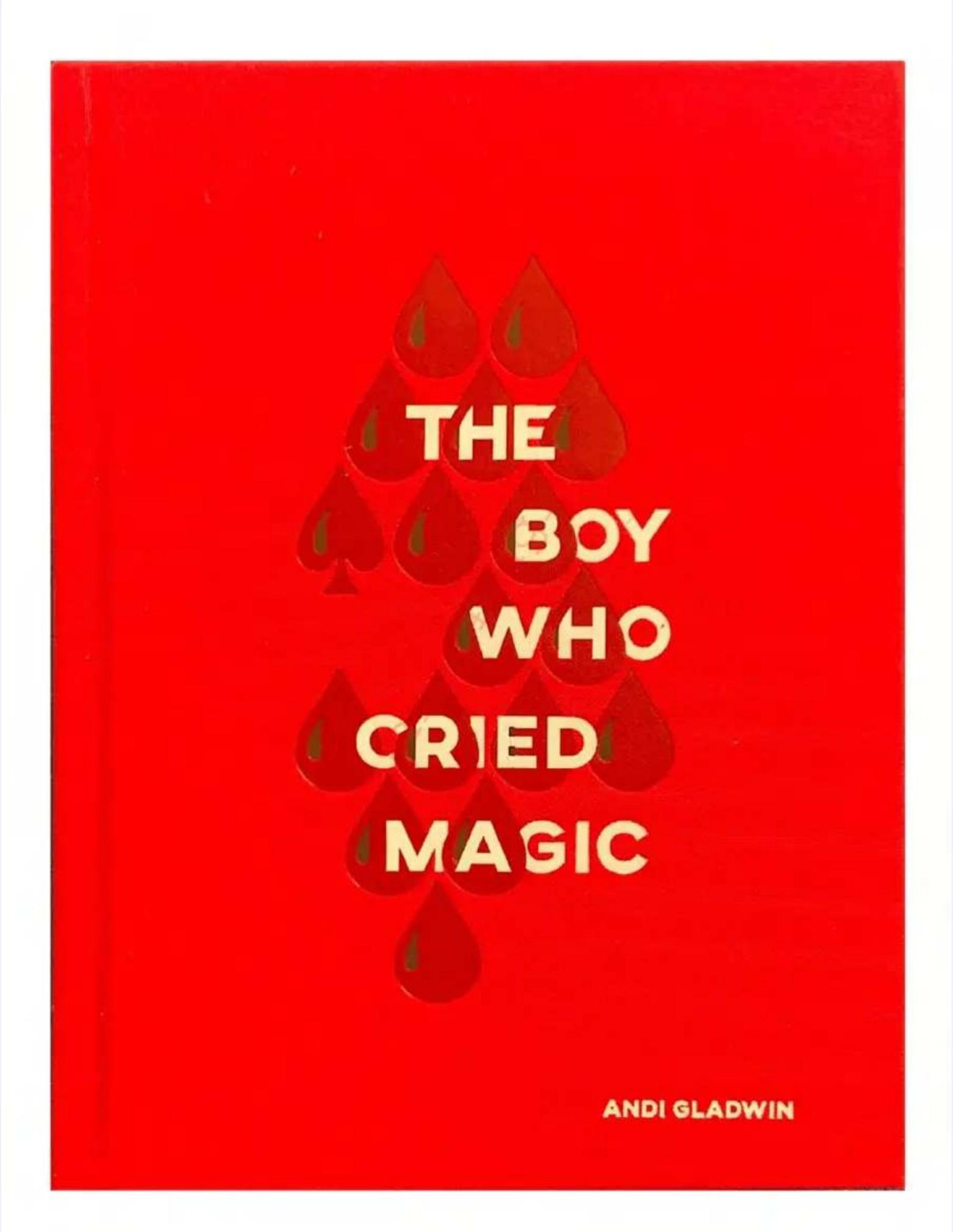 The Boy Who Cried Magic Andi Gladwin