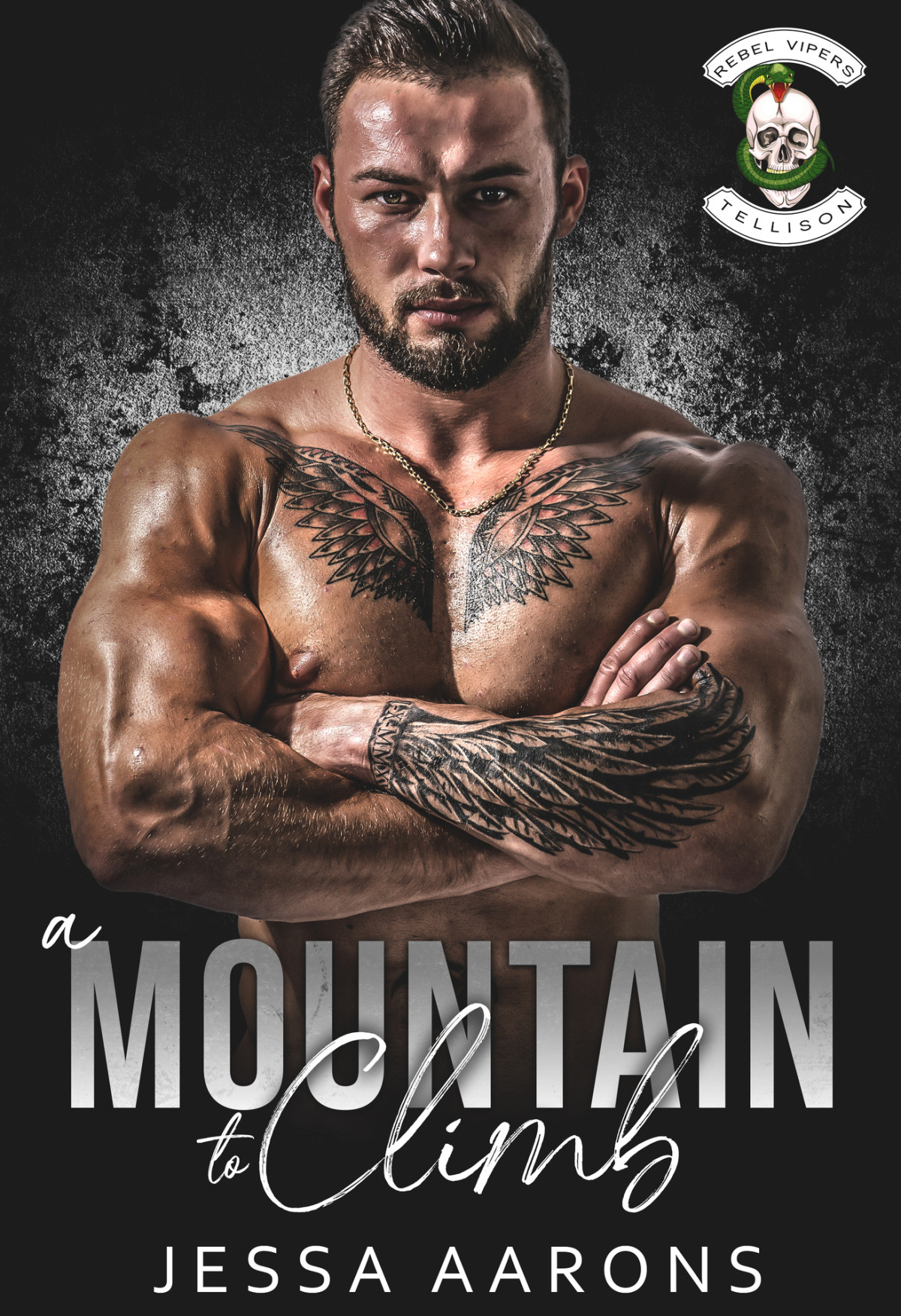 A Mountain To Climb Rebel Vipers Mc Aarons Jessa