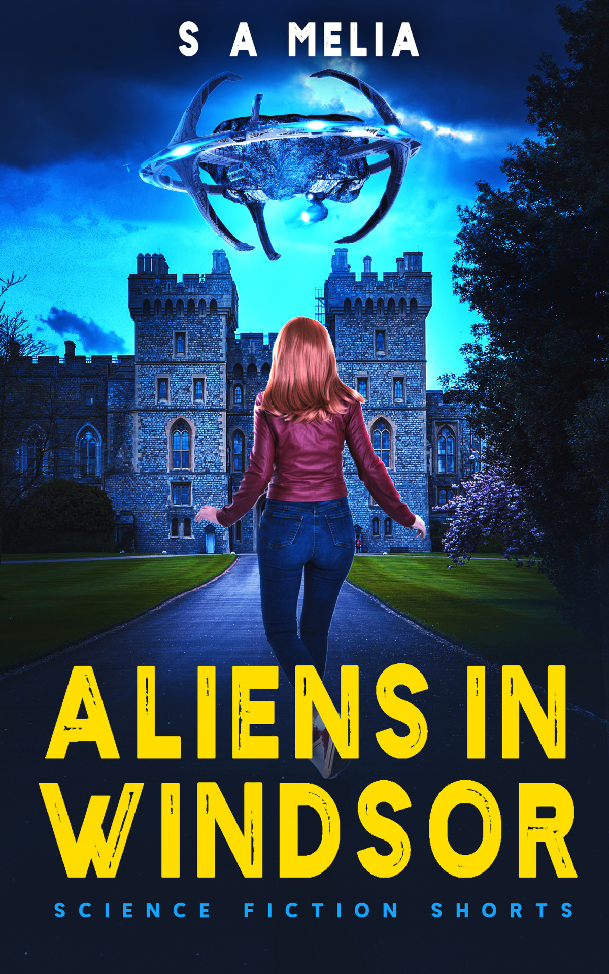 Aliens In Windsor Sally Ann Melia