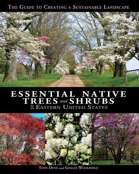 Essential Native Trees And Shrubs For The Eastern United States Tony Dove