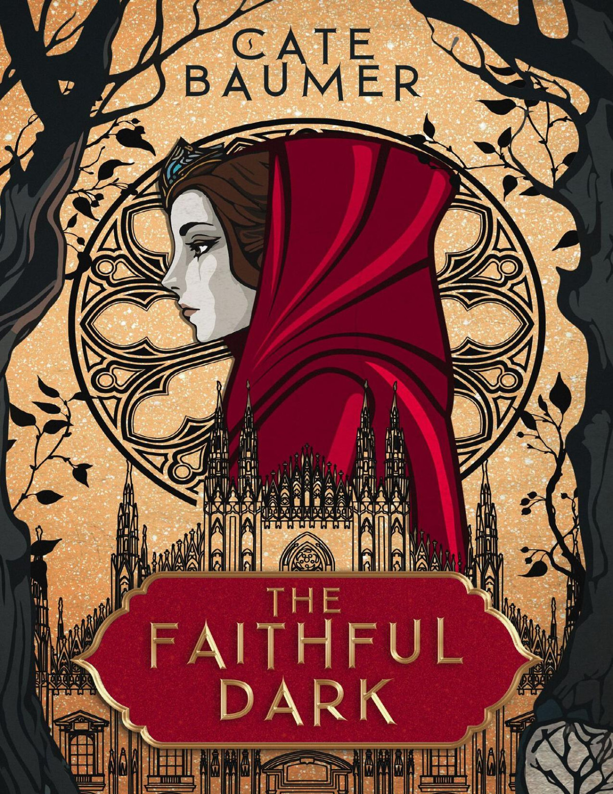 The Faithful Dark The Brilliant Soul Duology Book 1 Cate Baumer