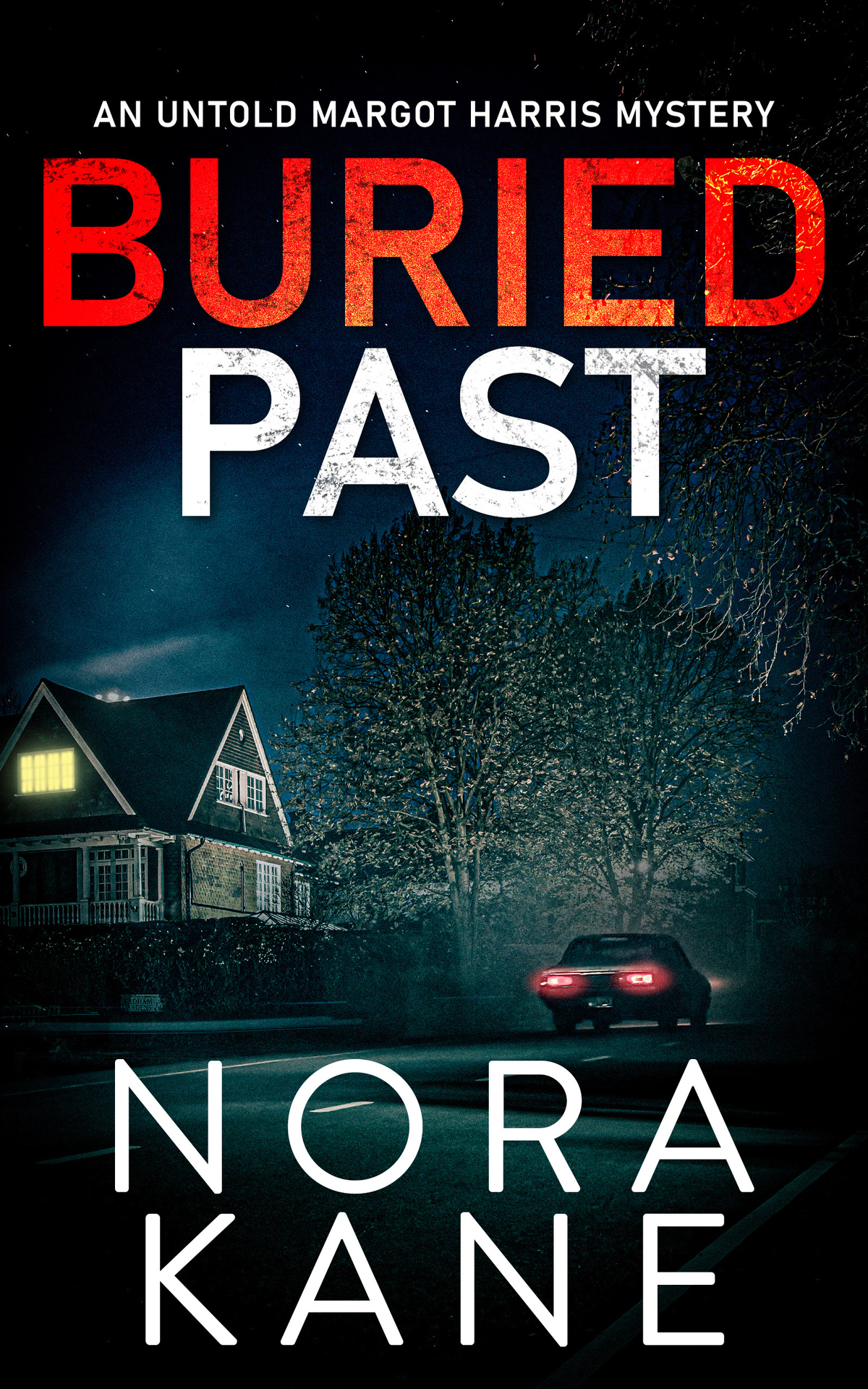 Buried Past An Untold Margot Harris Mystery Margot Harris Box Set Series Nora Kane