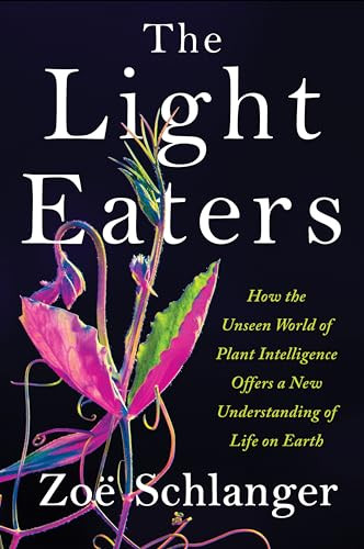 The Light Eaters Zo Schlanger