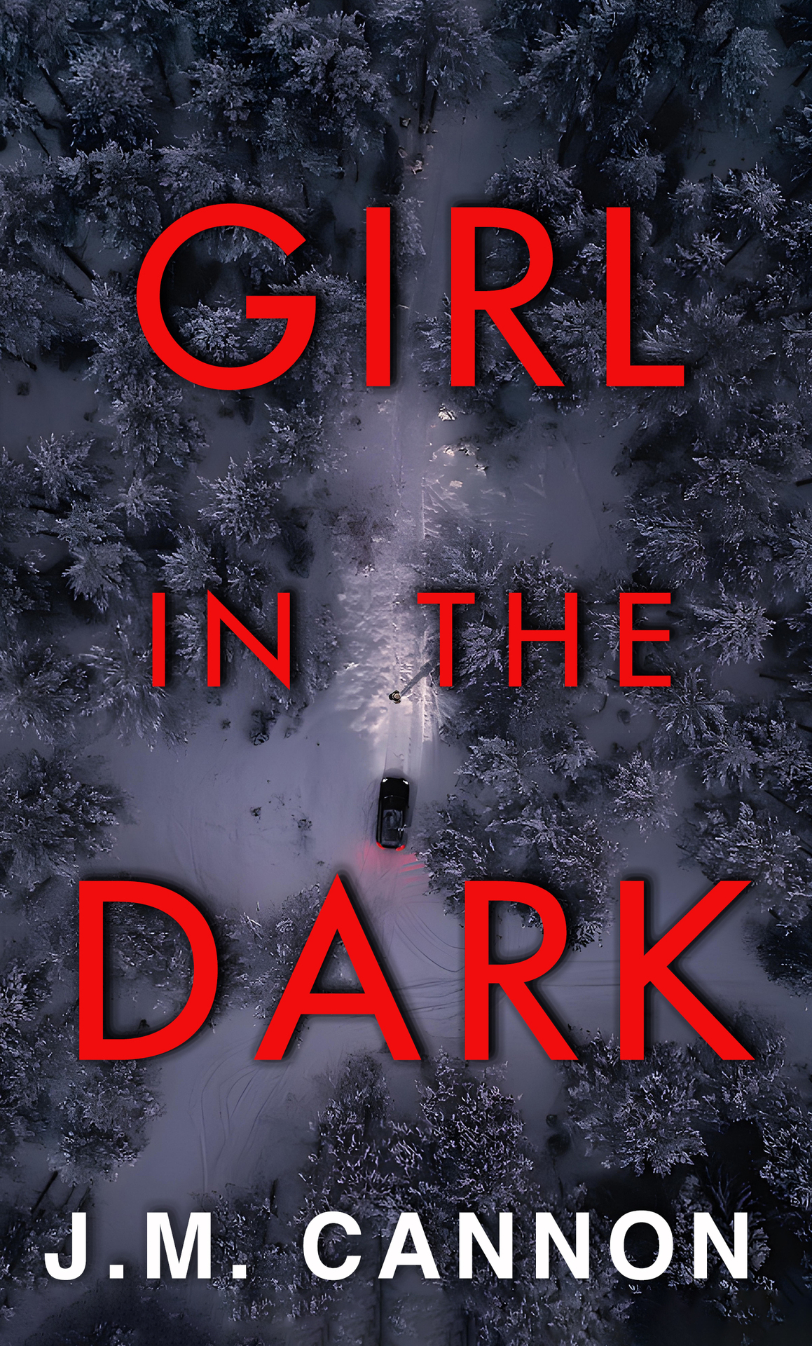 Girl In The Dark A New Psychological Thriller With An Absolutely Shocking Twist J M Cannon