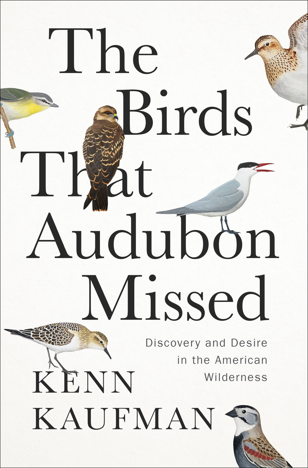 The Birds That Audubon Missed Discovery And Desire In The American Wilderness Kenn Kaufman