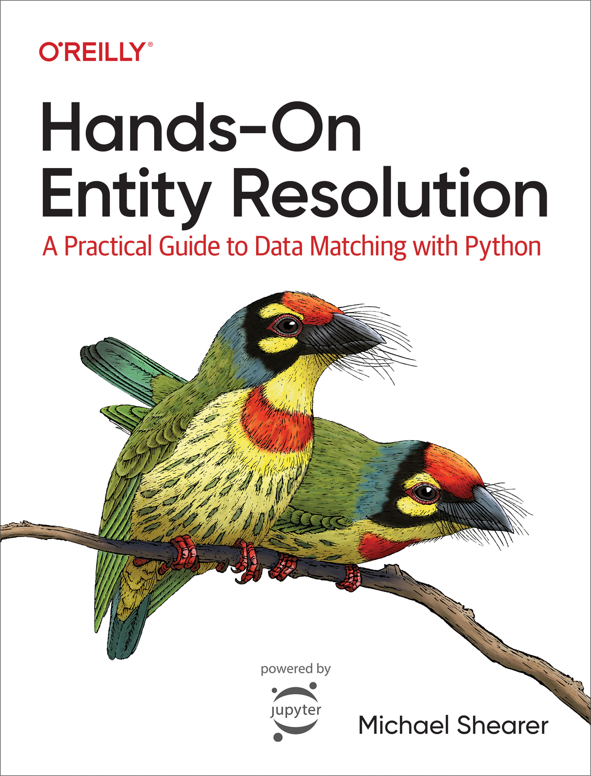 Handson Entity Resolution Michael Shearer