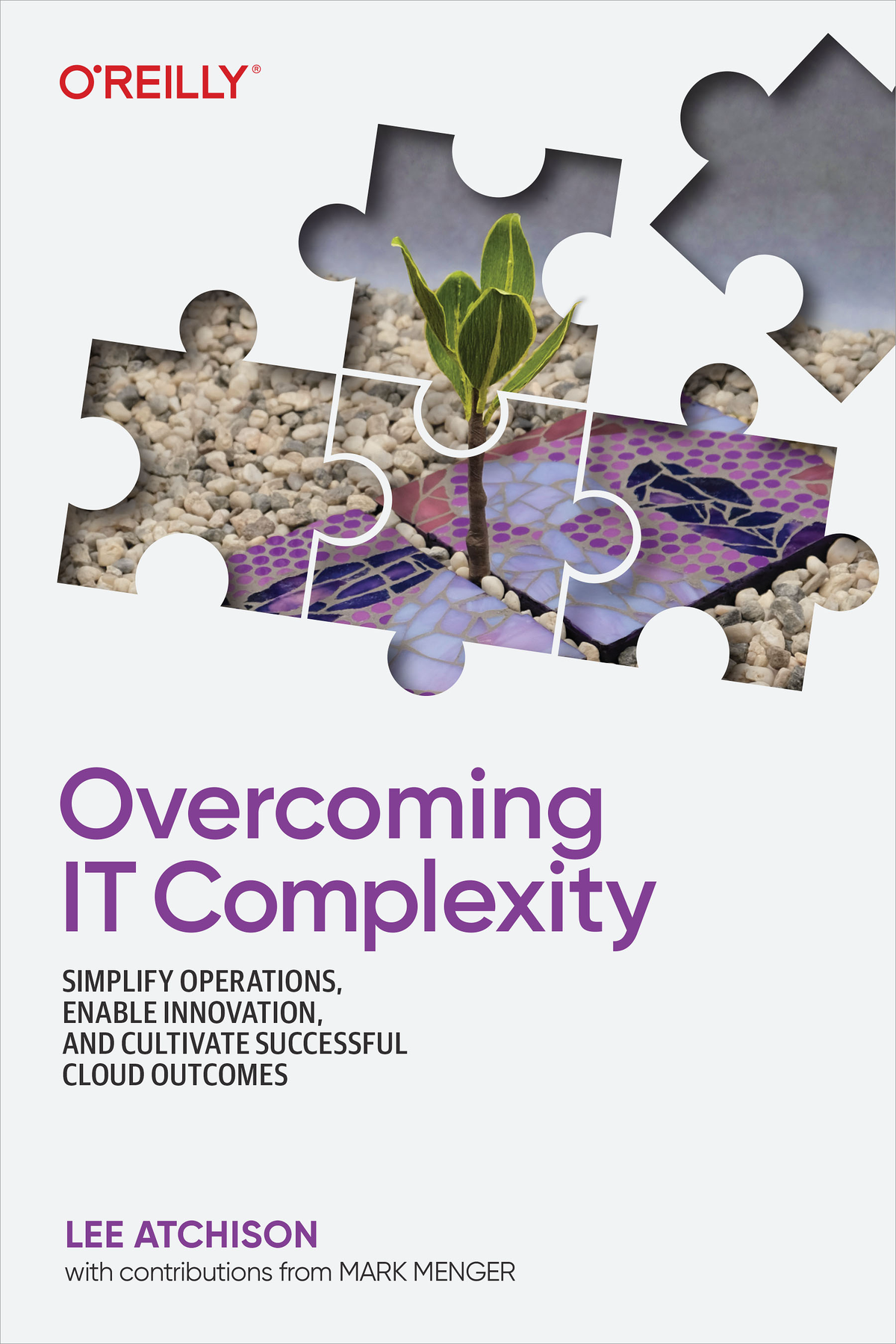 Overcoming It Complexity Lee Atchison