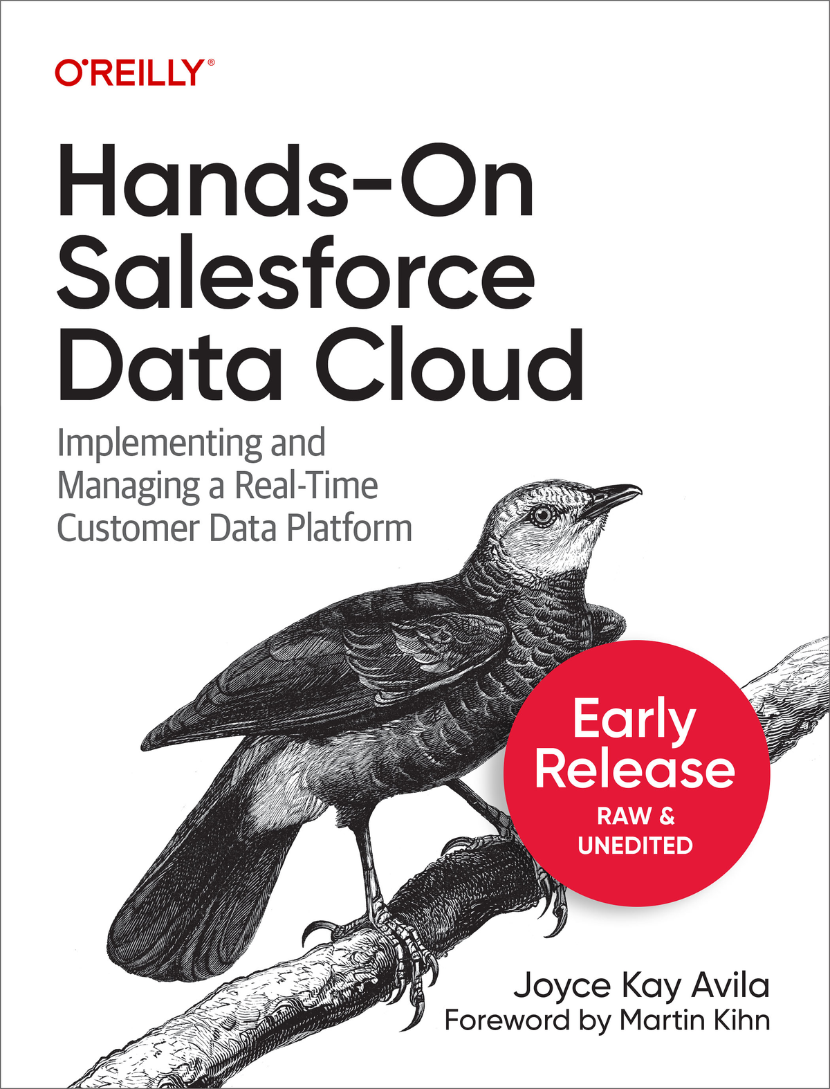 Handson Salesforce Data Cloud Joyce Kay Avila