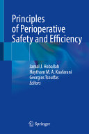 Principles Of Perioperative Safety And Efficiency Jamal J Hoballah