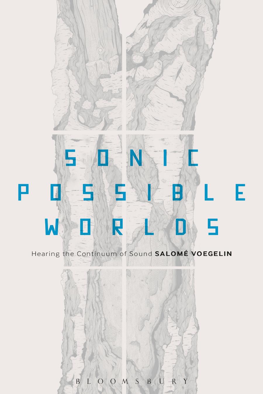 Sonic Possible Worlds Hearing The Continuum Of Sound Salome Voegelin