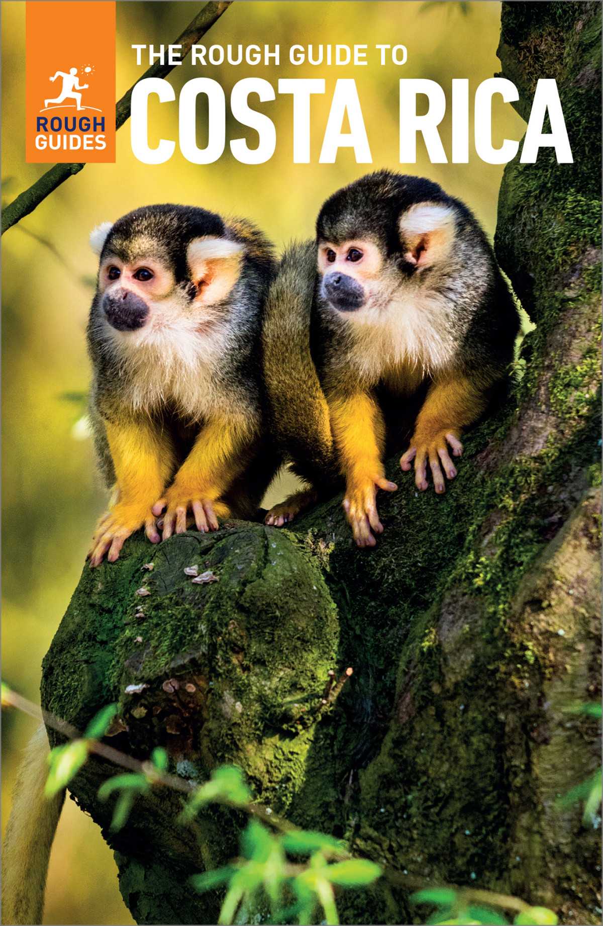 The Rough Guide To Costa Rica Travel Guide Ebook Rough Guides