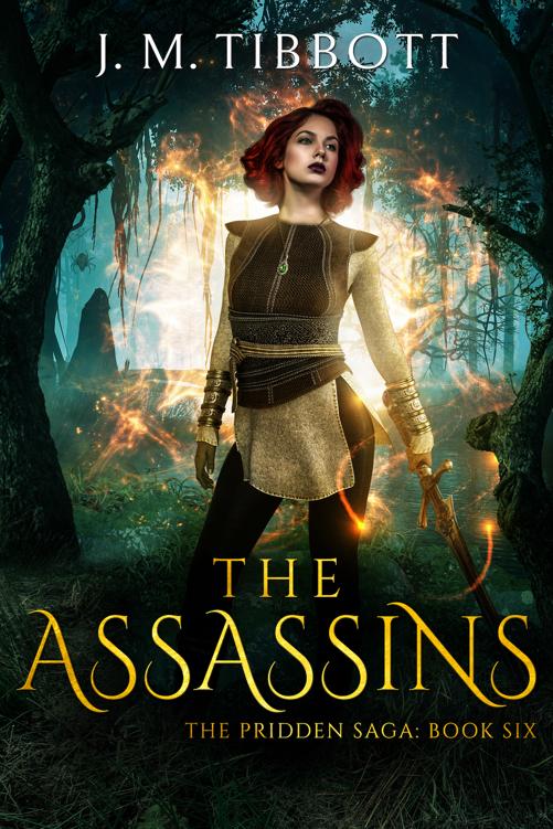 The Assassins A High Fantasy Adventure J M Tibbott