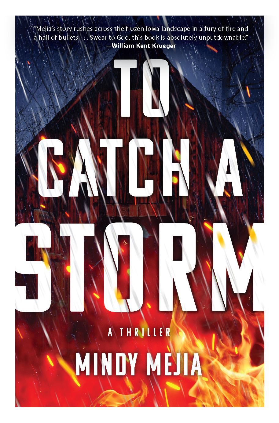 To Catch A Storm Mindy Mejia