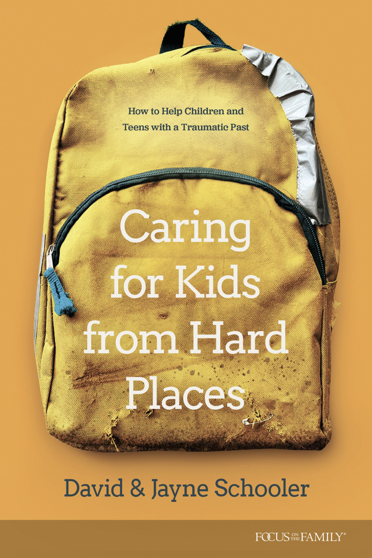 Caring For Kids From Hard Places Jayne E Schooler David L Schooler